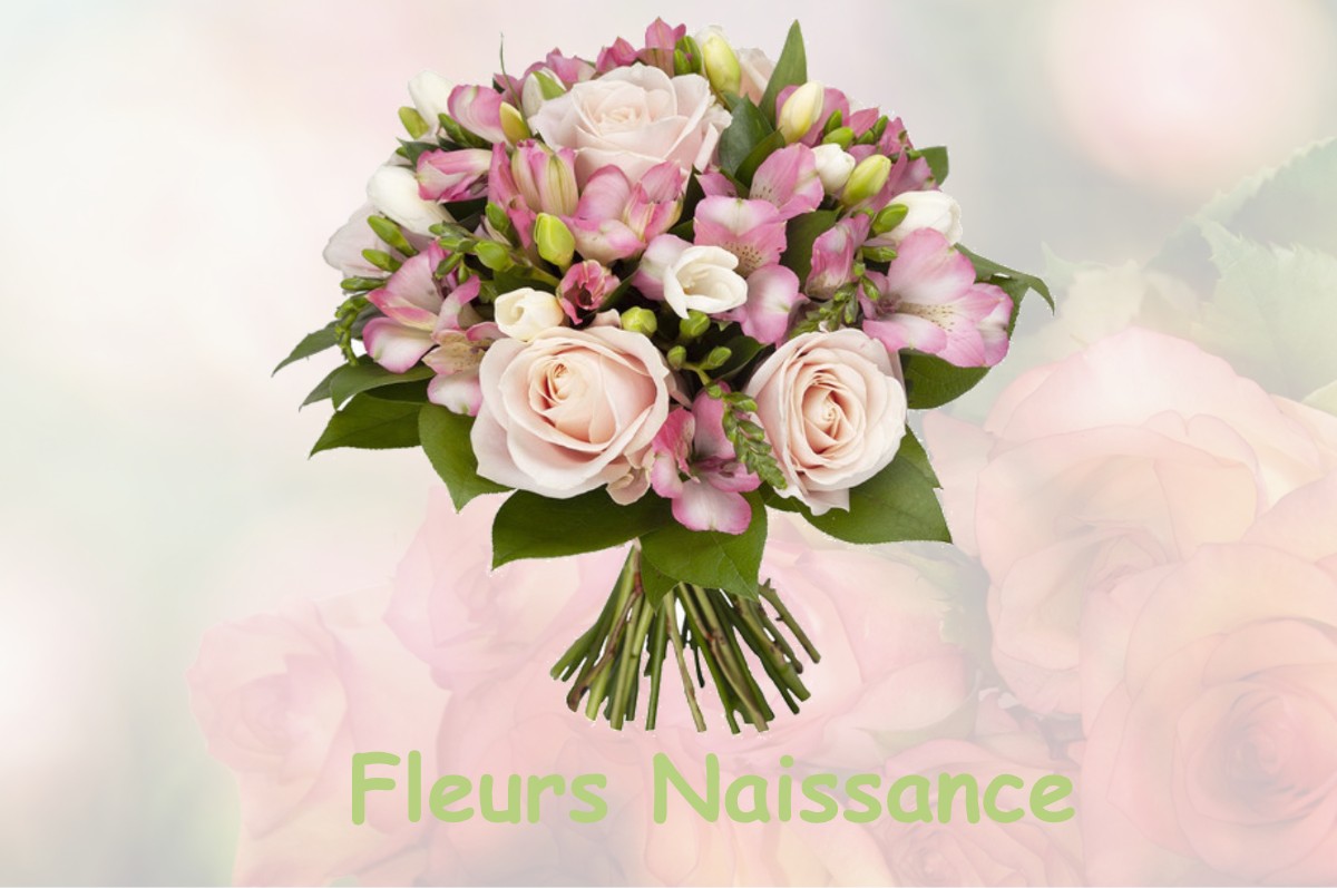 fleurs naissance LA-BROSSE-MONTCEAUX