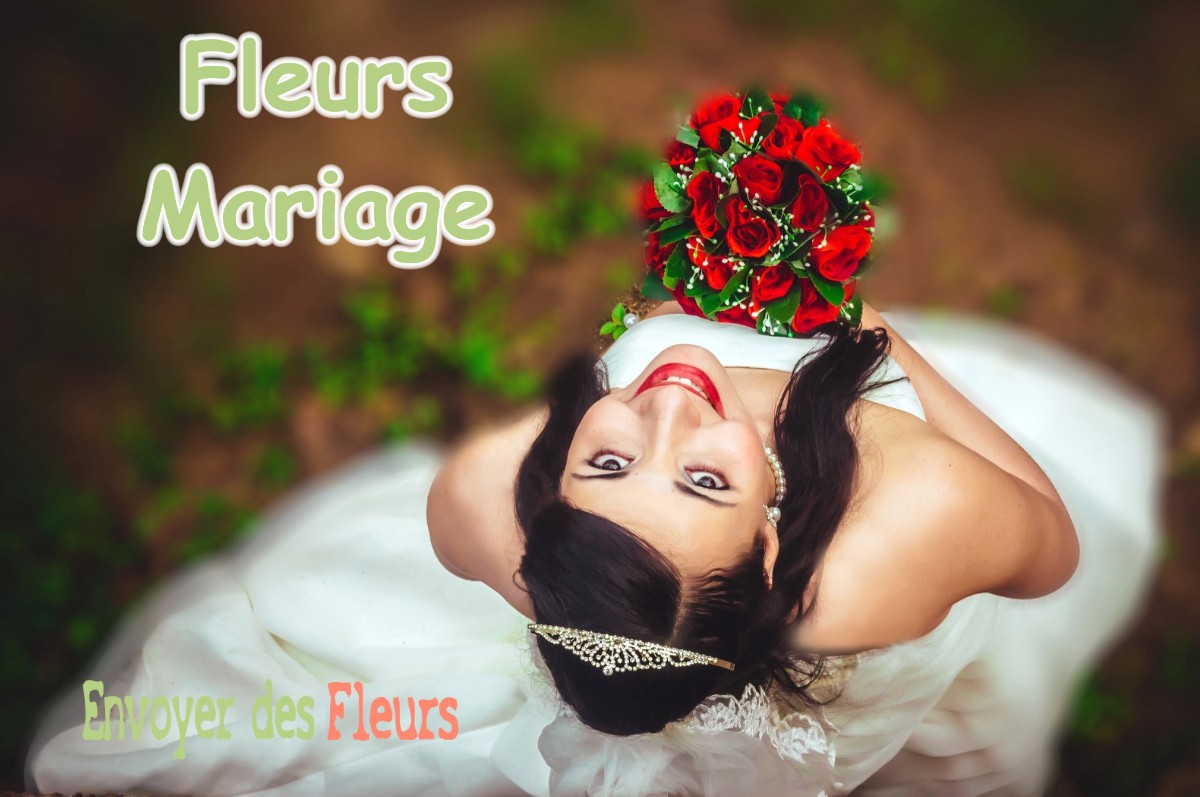 lIVRAISON FLEURS MARIAGE à LA-BROSSE-MONTCEAUX